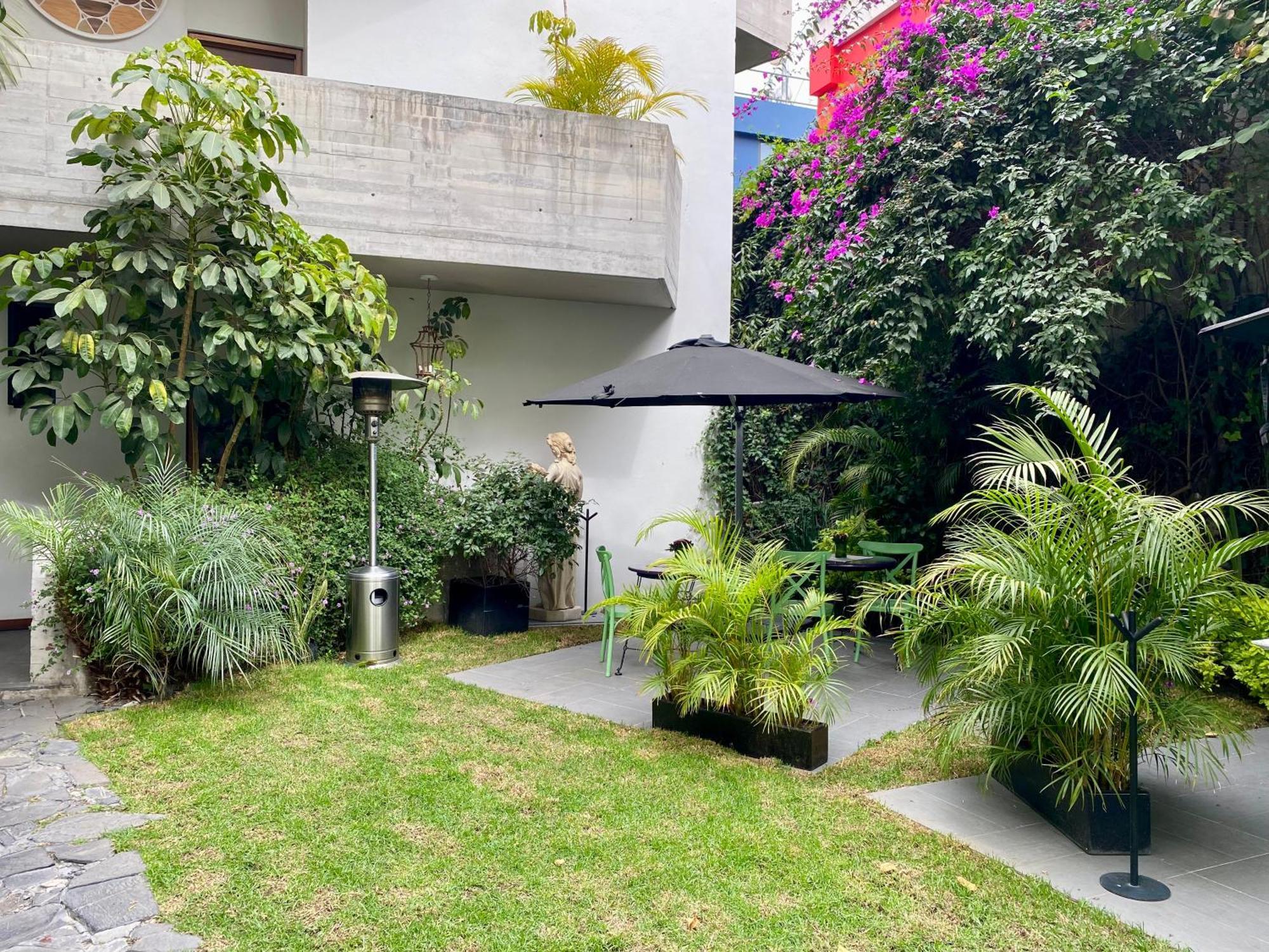 Pug Seal Polanco Anatole France Cidade do México Exterior foto