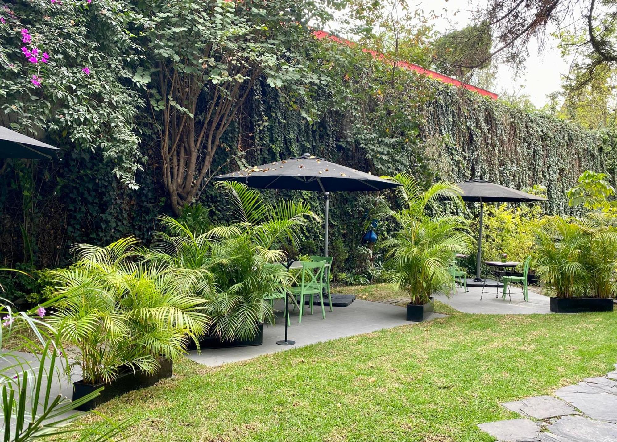 Pug Seal Polanco Anatole France Cidade do México Exterior foto