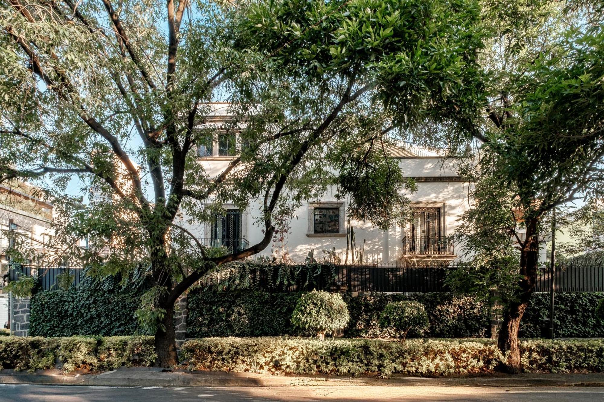 Pug Seal Polanco Anatole France Cidade do México Exterior foto